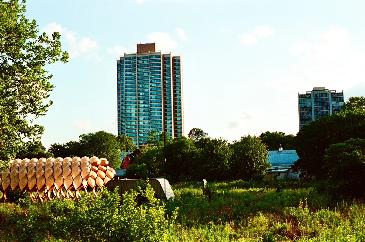 A planted garden with high rises beyond the trees in Chicago