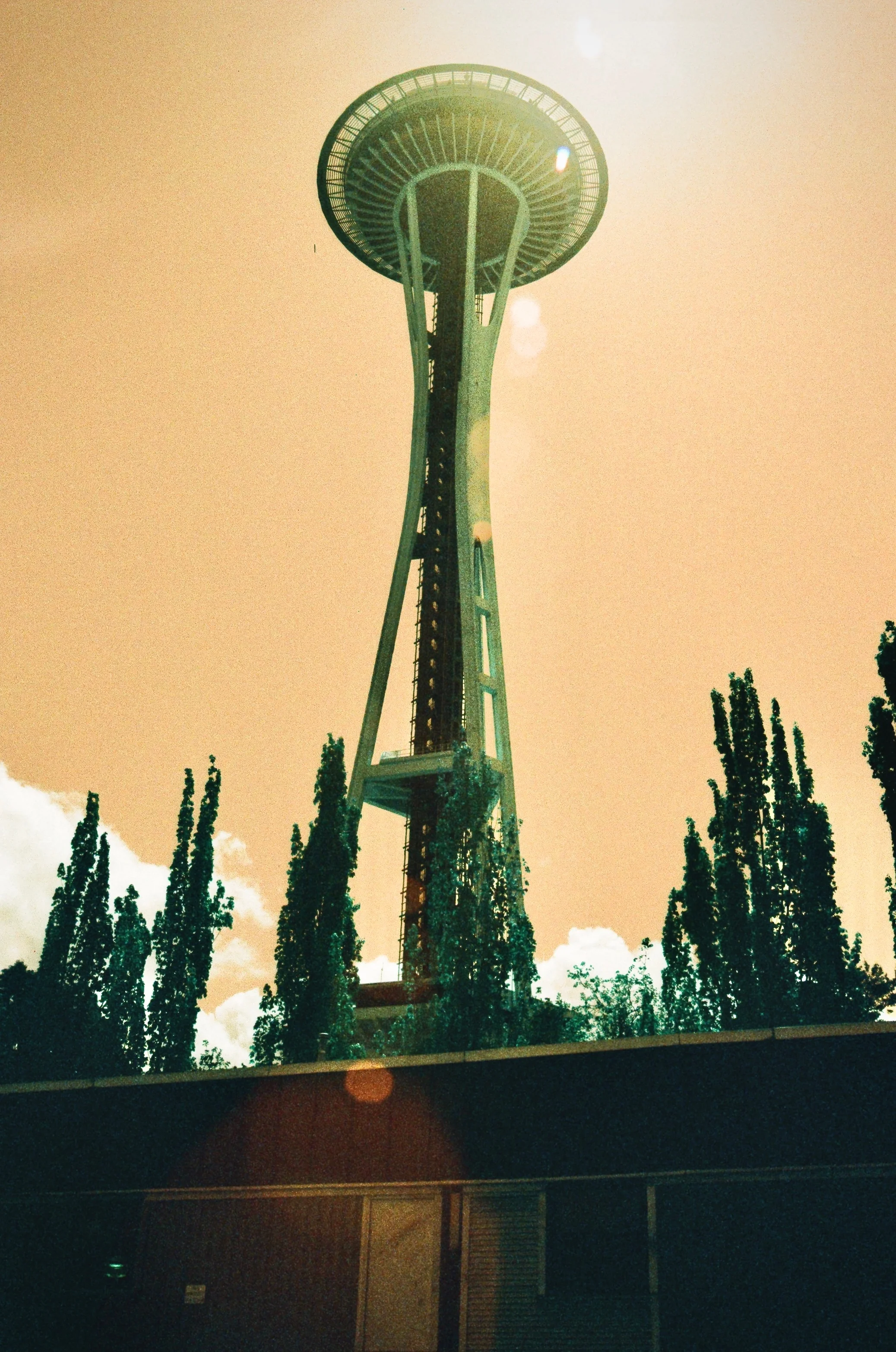 The Space Needle rising above trees in warm light in Seattle