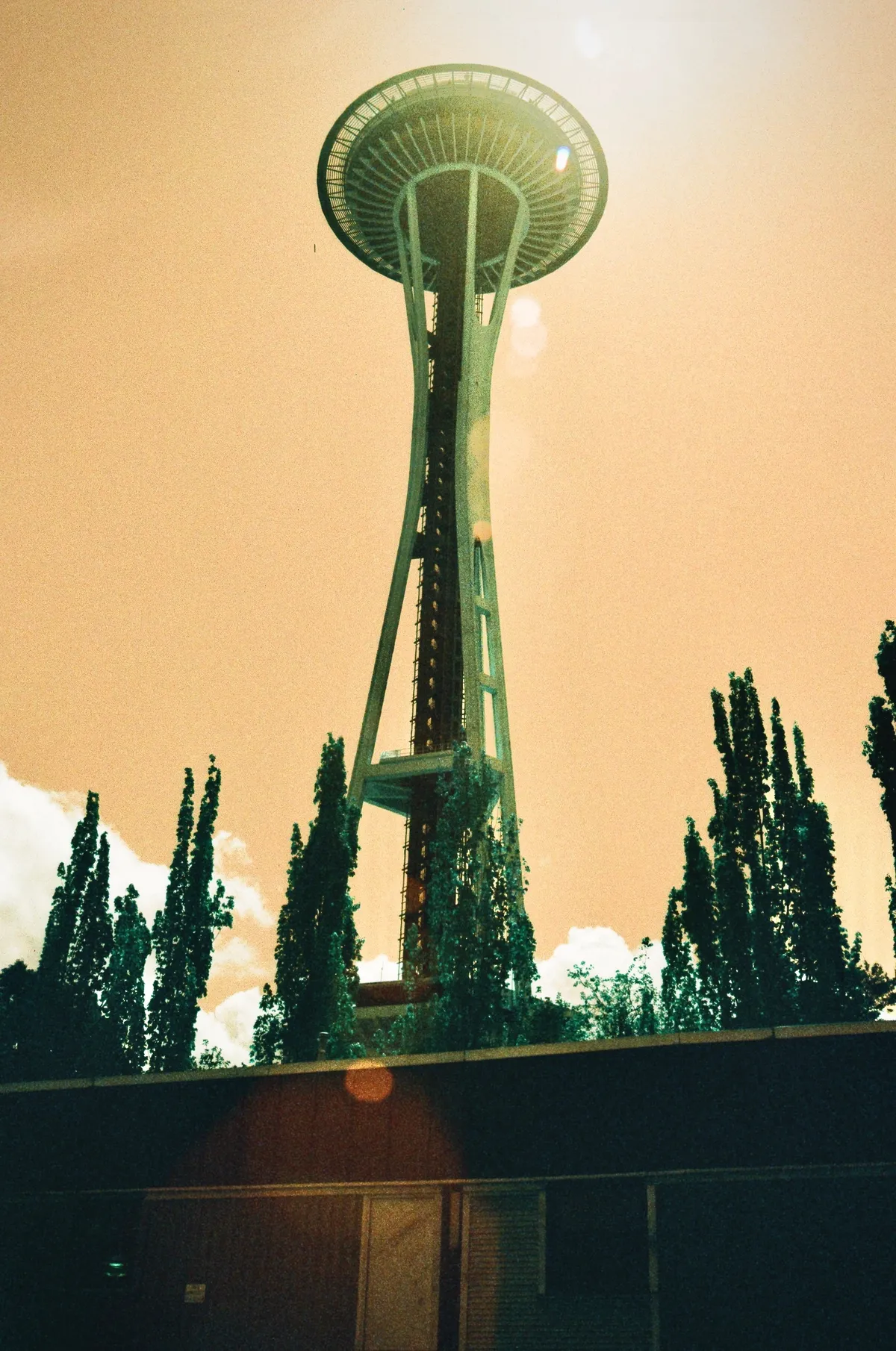 The Space Needle rising above trees in warm light in Seattle