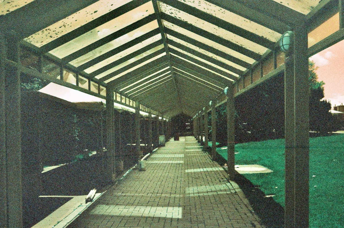 A covered glass and metal walkway with repeating roof beams in Seattle