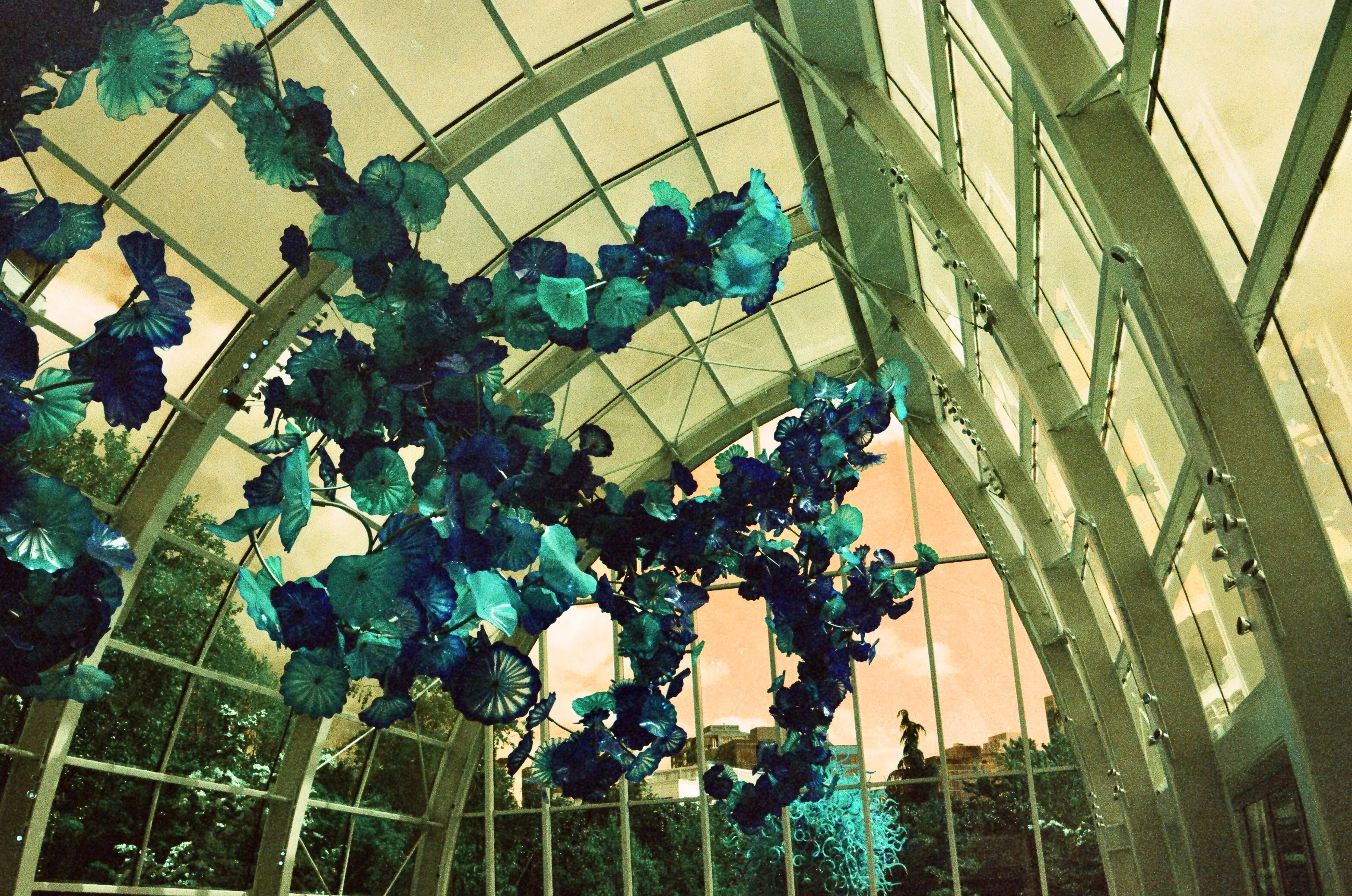 A hanging installation of colorful glass forms beneath a glass roof in Seattle