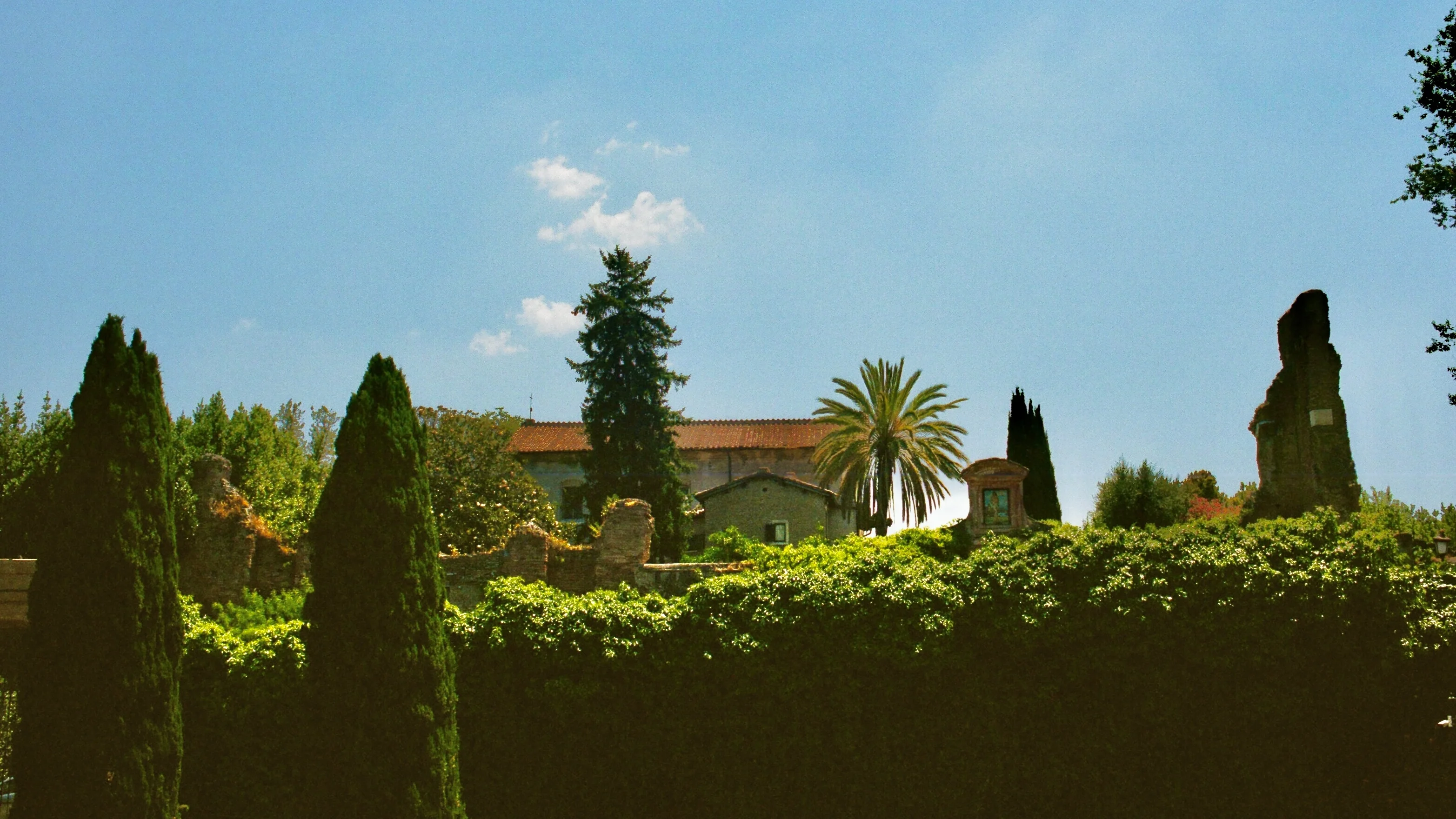 A formal garden with clipped hedges, palm trees, and tall cypresses in Rome