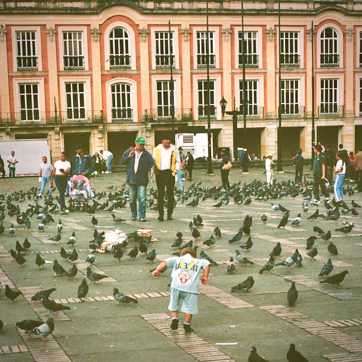 Pigeons gathering in a plaza in front of a pink building in Bogota