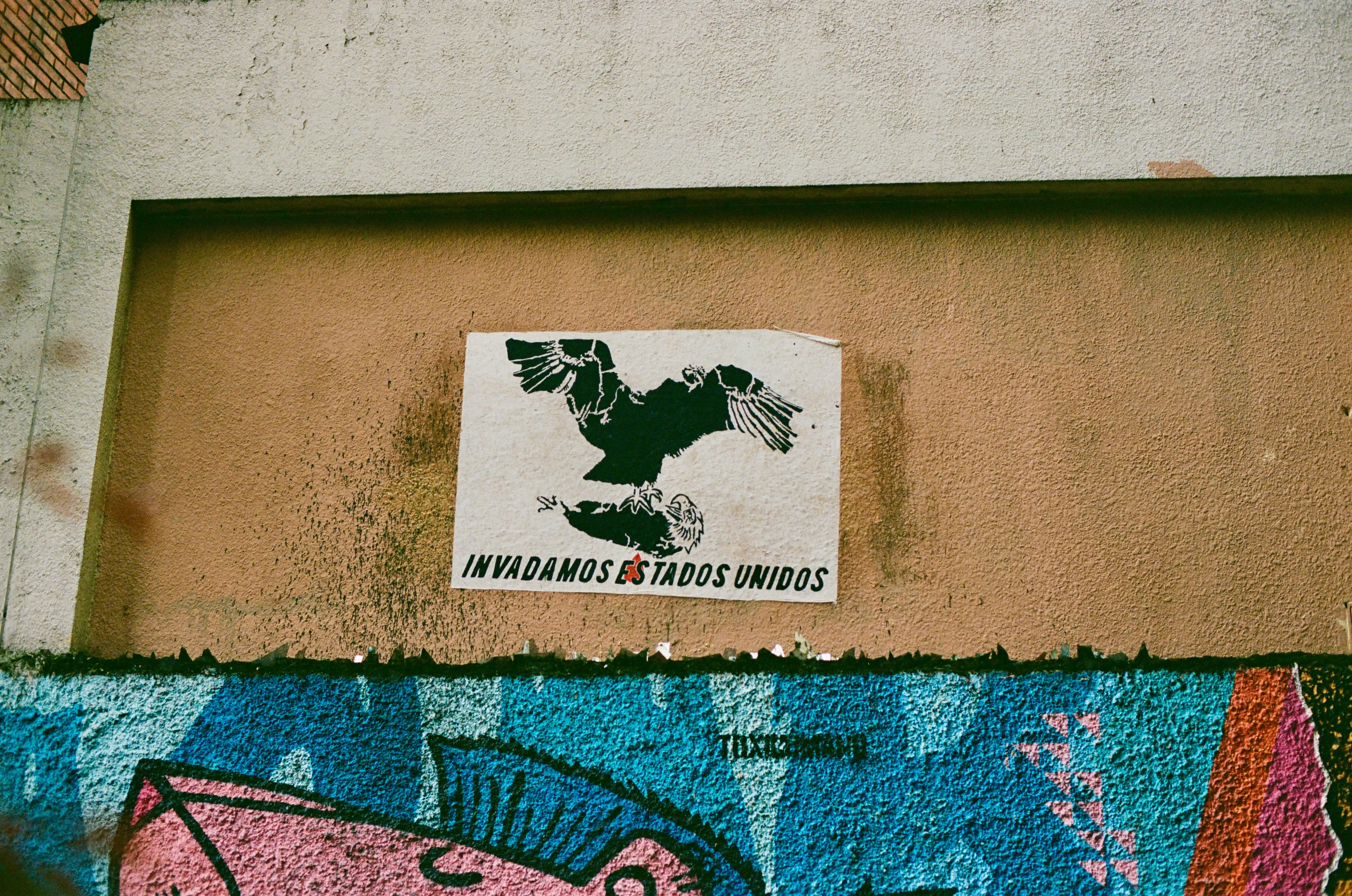 A bird illustration pasted on a wall above colorful graffiti in Bogota