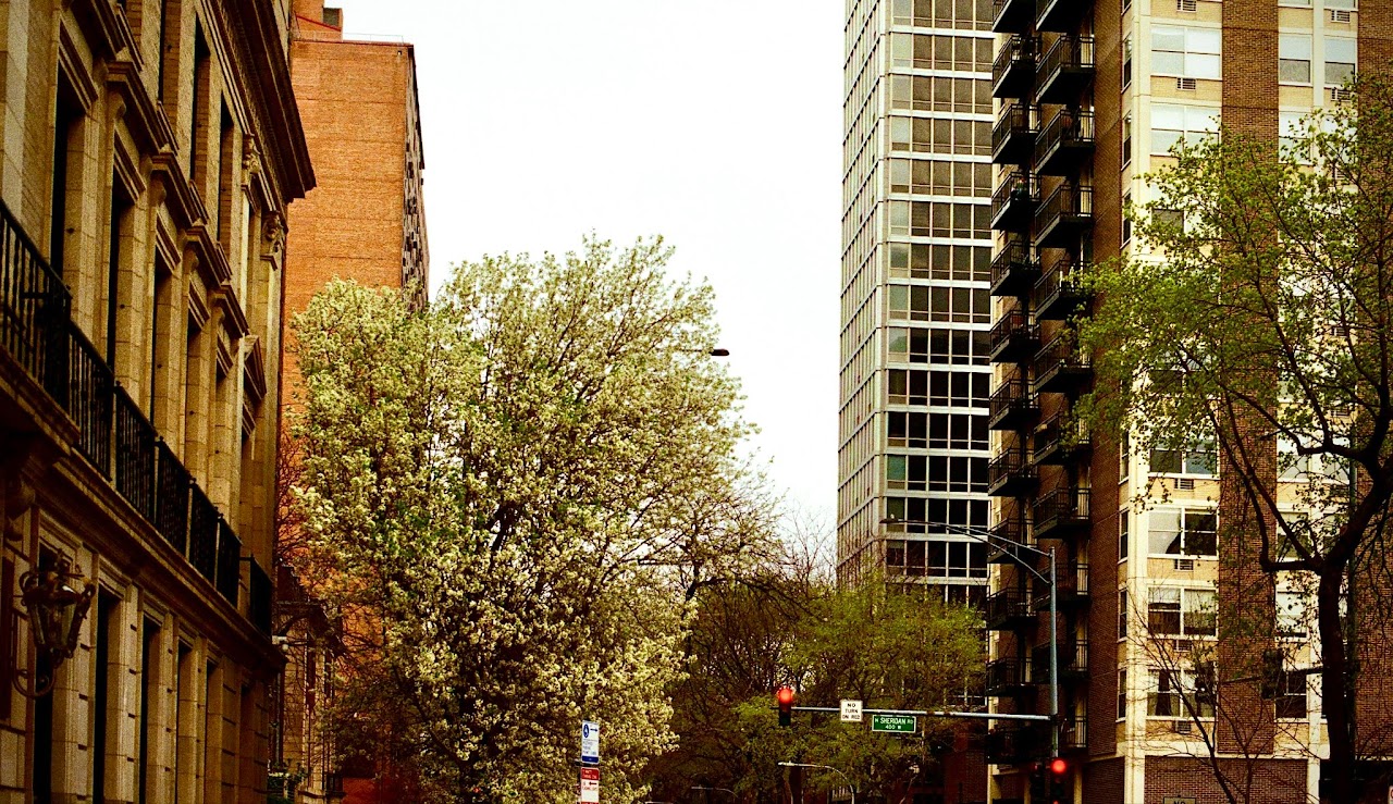 Film photograph 08