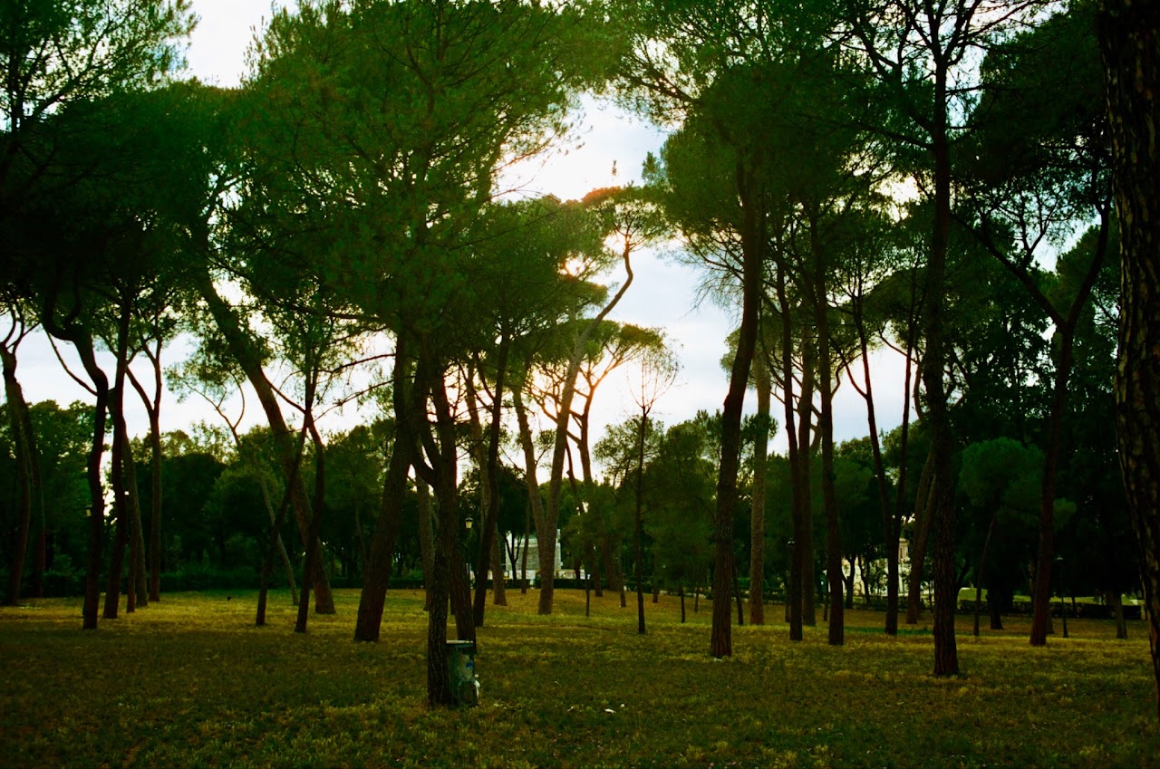 Film photograph 21